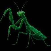 Ultra Realistic 3D Hologram A Motion Masterpiece That Amazes