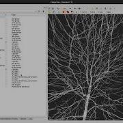 Computree Tips And Tricks