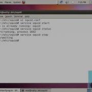 LPIC 2 202 Implementing Squid As A Caching Proxy Server