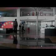 Video Stitching