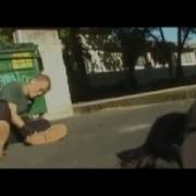 Martial Arts Street Fight Choreography ZeroGravity