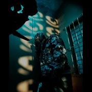 Teejay Pain Official Video Rifle Behavior Riddim