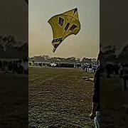 Guess Kinne Tawa Patang Lover Patang Wali Video Shorts Youtubeshorts Patang Bigkite Viral