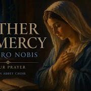 Mother Of Mercy Ora Pro Nobis 1 Hour Prayer To Mary For Peace Comfort