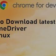 How To Download Latest Chromedriver For Linux