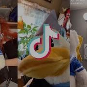 TikTok Donald Ducc Brainf K Master Edition Can You Handle It