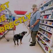 Service Dog Public Access Evaluation Full Video
