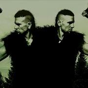 ANCIENT FOREST VOLFGANG TWINS