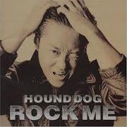 Hound Dog Rocks 432Hz