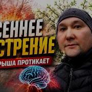 ВЕСЕННЕЕ ОБОСТРЕНИЕ NPC БОТЫ СОВСЕМ ПОЕХАЛИ