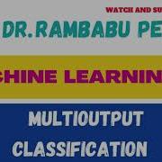 Multioutput Classification