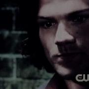 Team Free Will Iridescent