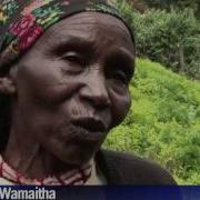 Mau Mau Torture Victims Want Compensation