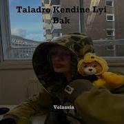 Taladro Kendine Lyi Bak