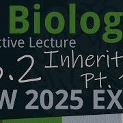IB Biology D3 2 Inheritance PART 1 SL HL Interactive Lecture 2025 2033