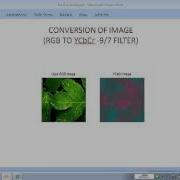 IMAGE COMPRESSION BY USING NEW WAVELET BIORTHOGONAL FILTER COEFFICIENTS