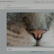 JavaScript And JQuery In 7 Days Assignment Review From Day 6 Packtpub Com
