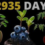 I Filmed 2935 DAYS For This TIMELAPSE