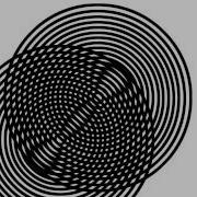 OPTICAL ILLUSIONS 3 The Moiré Pattern