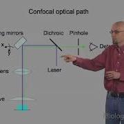 Confocal Microscopy Optical Sectioning And Triangulation 3D Scanning Technology