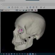 Visualization VTK Multiple Camera Load OBJ File