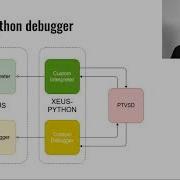 Afshin Darian A Visual Debugger In Jupyter JupyterCon 2020