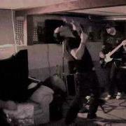 Cellar Door Return