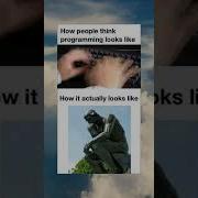 Developer Devmemes Memes Viral Funny Devopsengineer Debuggingmemes Techlife