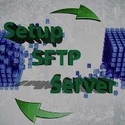 WordPress Automatic Update Through SFTP SSH In Linux Mint