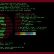 How To Run MySQL On A Docker Container On Ubuntu 20 04