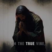John 15 16 God S Plan For You