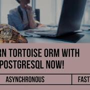 Tortoise ORM The Fastest Way To Use PostgreSQL With Python