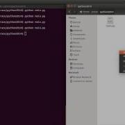 Python 11 Importing Modules