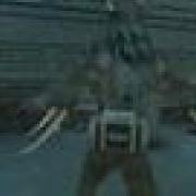Wolfteam Video Different Wolves