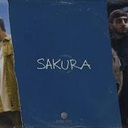 Xcho Sakura Official Audio