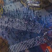 Shibuya Scramble Crossing