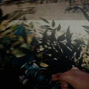 Synterical Editors Appclip