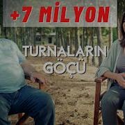 MUSA EROĞLU NAZLI ÖKSÜZ TURNALARIN GÖÇÜ