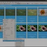 Digikam Group By Filename Screencast