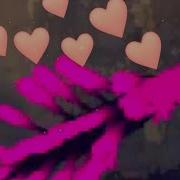 Most Beautiful Lizard Ive Ever Seen Rainworld