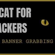 Netcat For Hackers Banner Grabbing