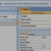 Set A Default Value In Access 2007