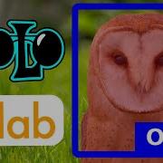 Train Yolov8 Instance Segmentation Custom Dataset On Google Colab Computer Vision Tutorial