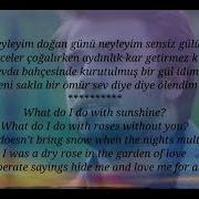 Vazgeç Gönül Tolga Saritaş With English Translation Güneşin Kizları