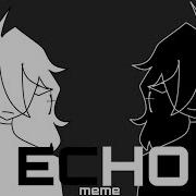 Echo Animation Meme Flash Warning