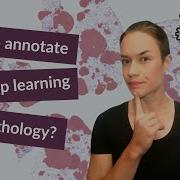 Number One Tip On How To Annotate Pathology Images For Deep Learning Image Analysis
