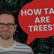 Unlock The Secrets Of Tree Height Mapping