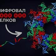 Что полезного сделал ИИ Veritasium