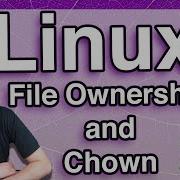 File Ownership And Chown Linux Tutorial 22