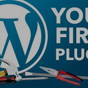 Create Your First WordPress Plugin Part 1